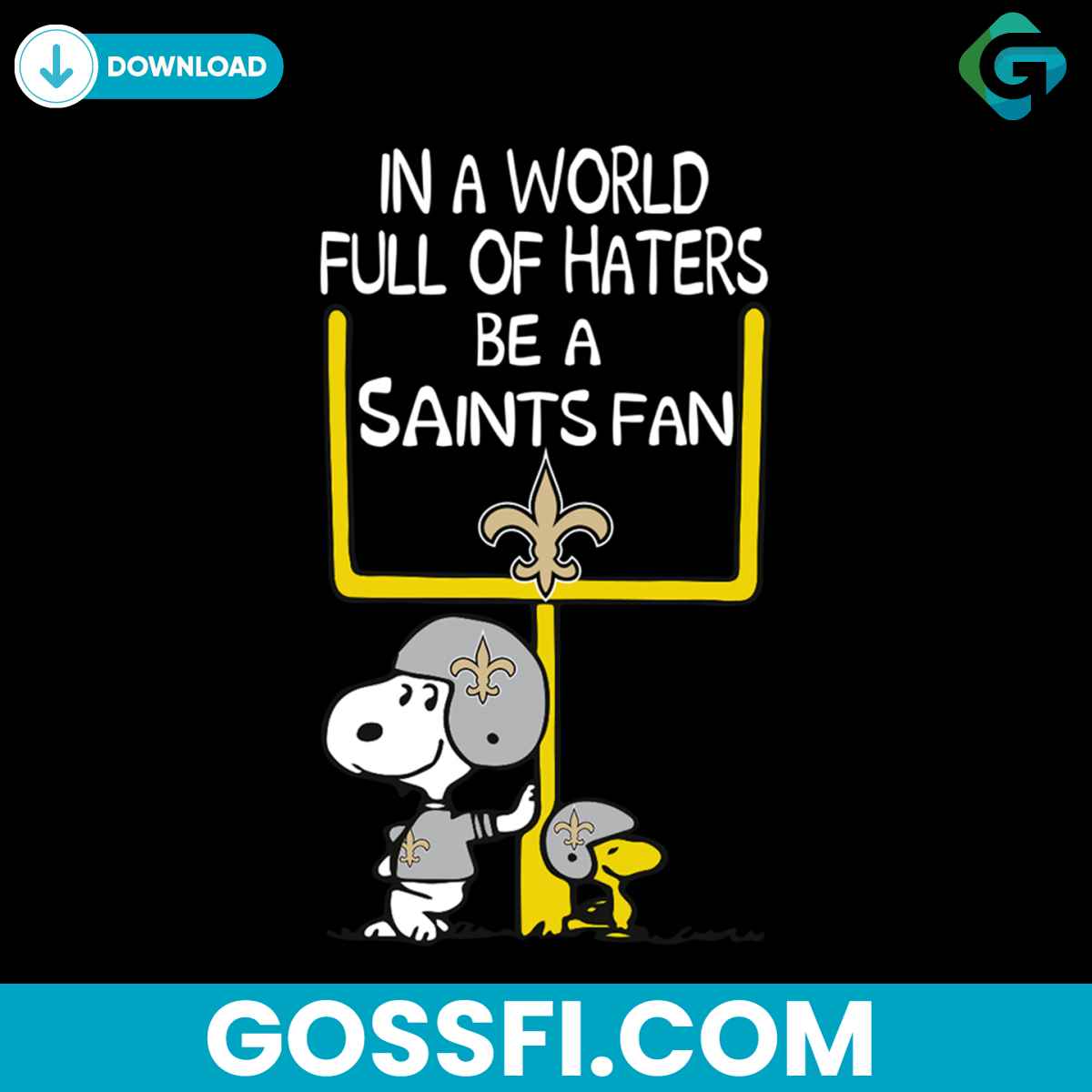 in-a-world-full-of-haters-be-a-saints-texans-fan-svg