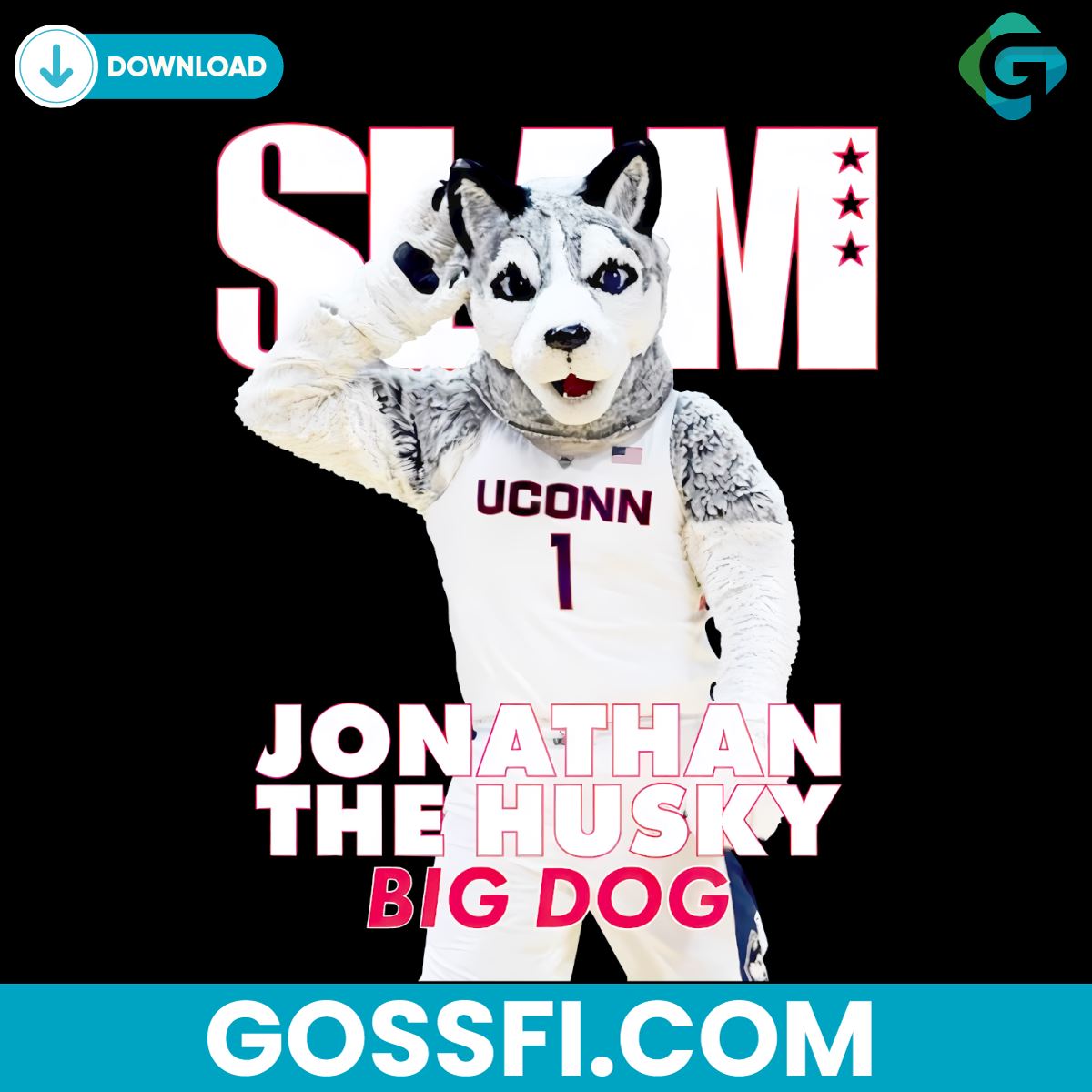 uconn-big-dog-ncaa-jonathan-the-husky-png